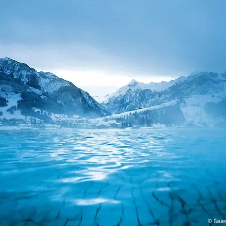Kammerlander By Interhome Appartamento Neukirchen am Großvenediger